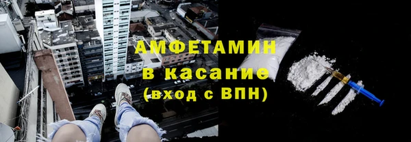 шишки Арсеньев