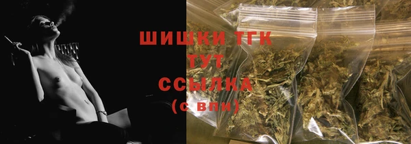 шишки Арсеньев