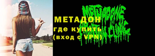 шишки Арсеньев