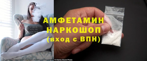ГАЛЛЮЦИНОГЕННЫЕ ГРИБЫ Аркадак