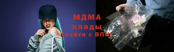 шишки Арсеньев