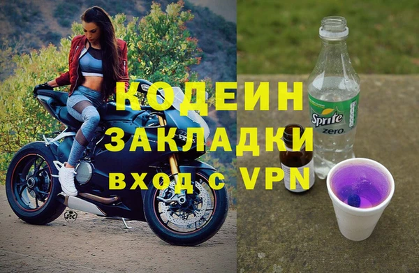 ГАЛЛЮЦИНОГЕННЫЕ ГРИБЫ Аркадак