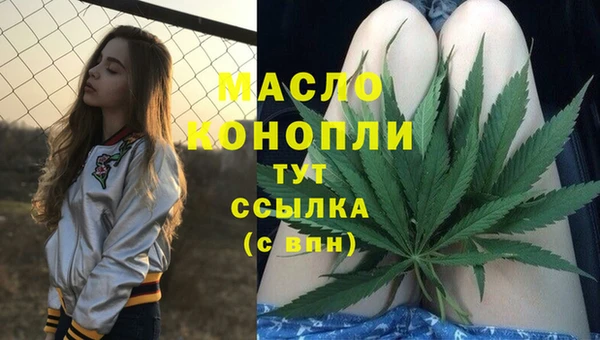 шишки Арсеньев