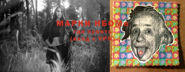 шишки Арсеньев