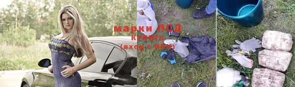 ГАЛЛЮЦИНОГЕННЫЕ ГРИБЫ Аркадак