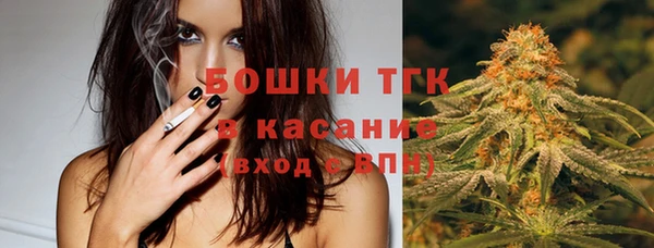 шишки Арсеньев