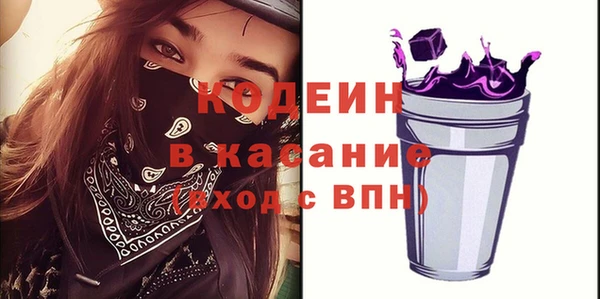 шишки Арсеньев