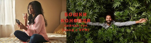 ГАЛЛЮЦИНОГЕННЫЕ ГРИБЫ Аркадак