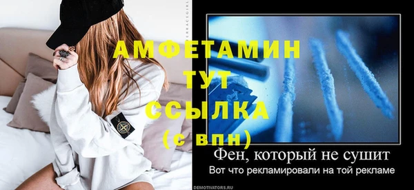 шишки Арсеньев