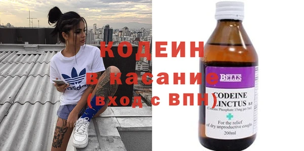 ГАЛЛЮЦИНОГЕННЫЕ ГРИБЫ Аркадак